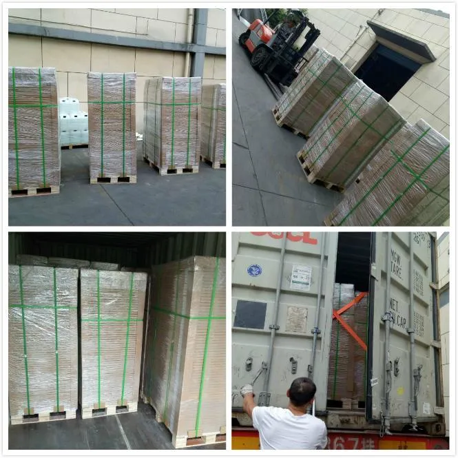 150Mj/Cm2 Placca CTP termica a doppio strato di alluminio positivo per la stampa offset 5