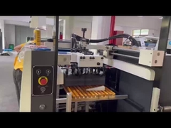 Macchine per verniciature UV-serie FHSGJ