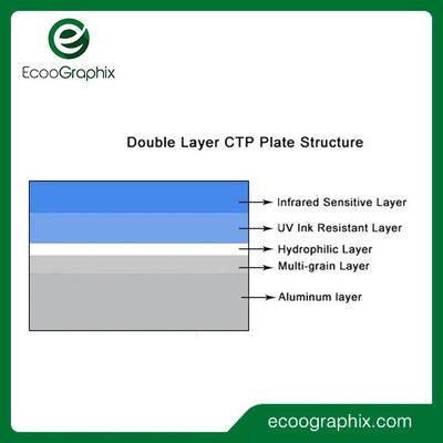 Ecoographix Placca CTP termica a doppio strato