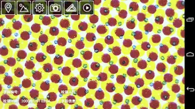 Macchina DOT Testing Equipment del piatto di contrappeso PCT del densitometro di alta precisione