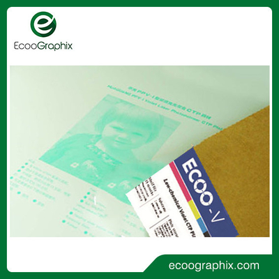 Piatto viola negativo di Digital Photopolymer PCT per stampa del giornale