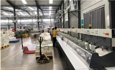 Sistema automatico Pearls-8000 di cucitura di sella di Ecoographix