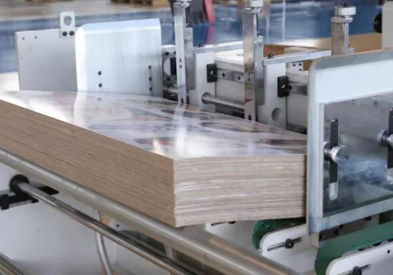 Macchina di verniciatura di lucidatura della vernice UV automatica per cartone