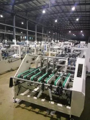 Macchina di rattoppatura della finestra automatica per l'imballaggio del Ecoographix 600x520mm