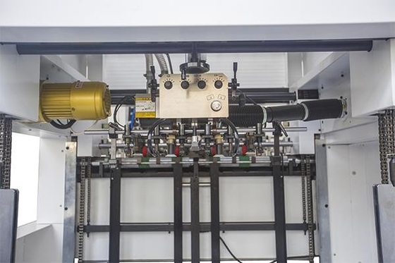 Ecoographix macchina automatica di taglio a stampo con stripping 800X580MM