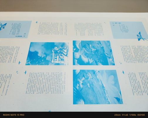 A2 Perfector due colori doppio lato Litho Offset con velocità 10000S/H