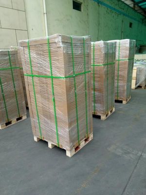 doppio piatto termico di DOP Processless PCT di strato di 0.30mm