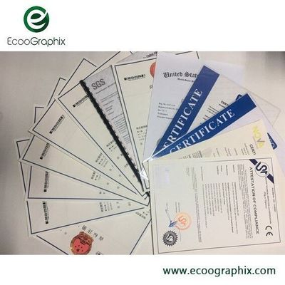 EcooSetter T400Q 256CH Offset Printing 25pph CTP termico