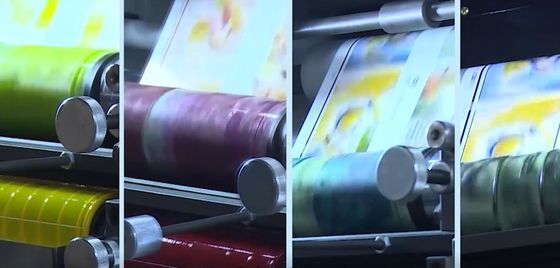 Stampatrice flessografica dell'etichetta adesiva adeguamento del piatto da 360 gradi